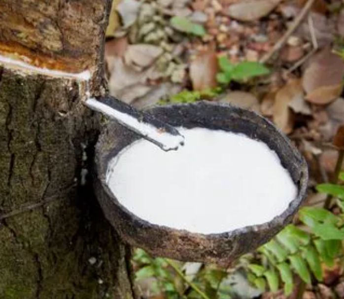 Which is Better? Natural Rubber or Synthetic rubber?